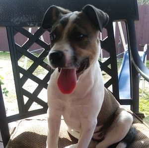 Meet your Posher, Dolley